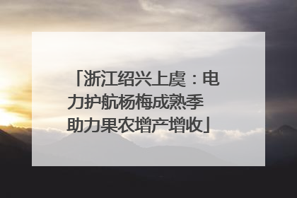 浙江绍兴上虞：电力护航杨梅成熟季 助力果农增产增收
