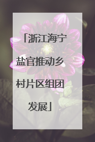 浙江海宁盐官推动乡村片区组团发展