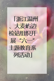 浙江温州、大麦屿边检站组织开展“六一”主题教育系列活动
