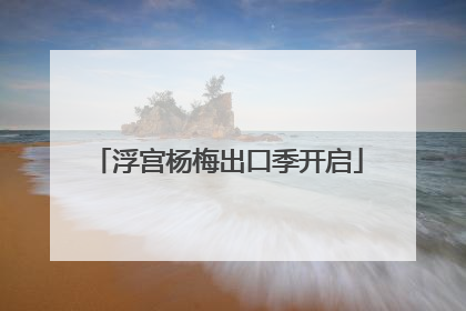 浮宫杨梅出口季开启