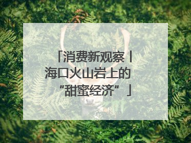 消费新观察丨海口火山岩上的“甜蜜经济”