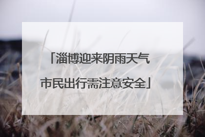 淄博迎来阴雨天气 市民出行需注意安全