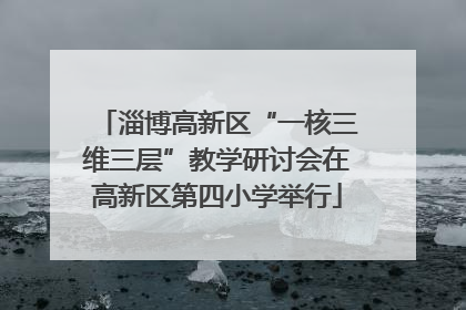 淄博高新区“一核三维三层”教学研讨会在高新区第四小学举行