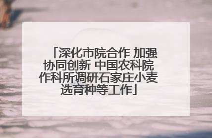 深化市院合作 加强协同创新 中国农科院作科所调研石家庄小麦选育种等工作