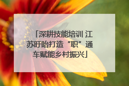 深耕技能培训 江苏盱眙打造“职”通车赋能乡村振兴