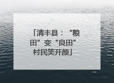 清丰县：“粮田”变“良田”村民笑开颜