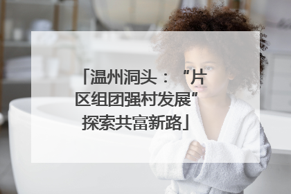 温州洞头：“片区组团强村发展”探索共富新路