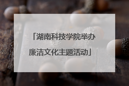 湖南科技学院举办廉洁文化主题活动
