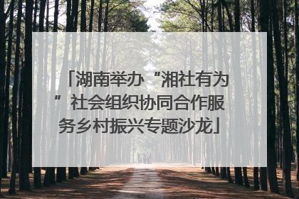 湖南举办“湘社有为”社会组织协同合作服务乡村振兴专题沙龙