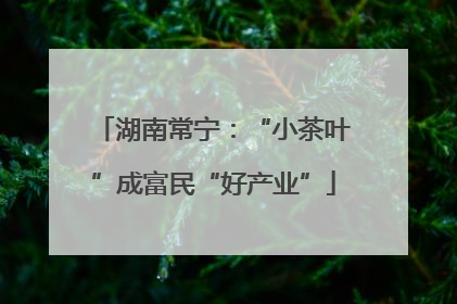 湖南常宁：“小茶叶”成富民“好产业”