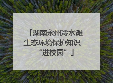 湖南永州冷水滩生态环境保护知识“进校园”