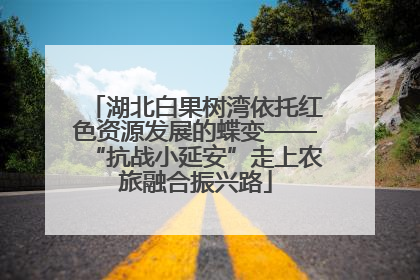 湖北白果树湾依托红色资源发展的蝶变——“抗战小延安”走上农旅融合振兴路