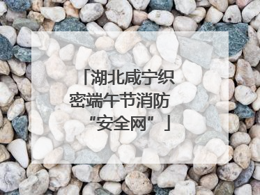 湖北咸宁织密端午节消防“安全网”