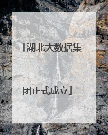 湖北大数据集团正式成立