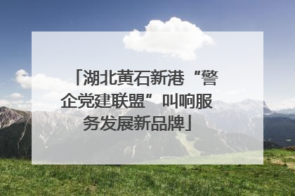 湖北黄石新港“警企党建联盟”叫响服务发展新品牌