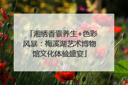 湘绣香囊养生+色彩风暴：梅溪湖艺术博物馆文化体验盛宴