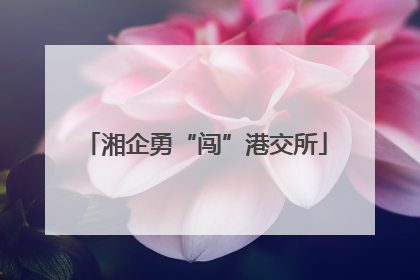 湘企勇“闯”港交所