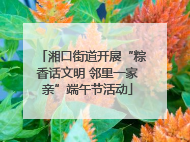 湘口街道开展“粽香话文明 邻里一家亲”端午节活动