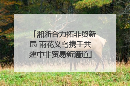 湘浙合力拓非贸新局 雨花义乌携手共建中非贸易新通道