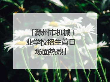 滁州市机械工业学校招生首日场面热烈