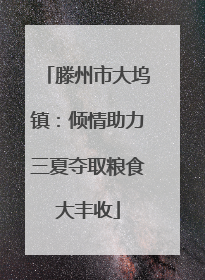 滕州市大坞镇：倾情助力三夏夺取粮食大丰收