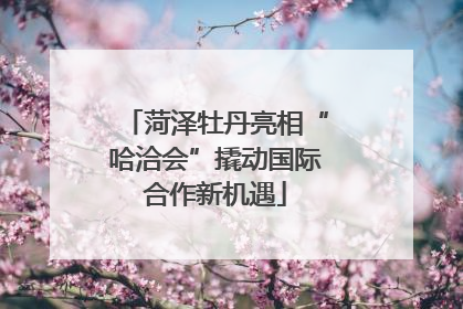 菏泽牡丹亮相“哈洽会”撬动国际合作新机遇