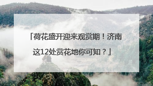 荷花盛开迎来观赏期！济南这12处赏花地你可知？