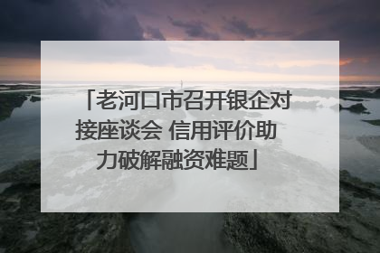 老河口市召开银企对接座谈会 信用评价助力破解融资难题