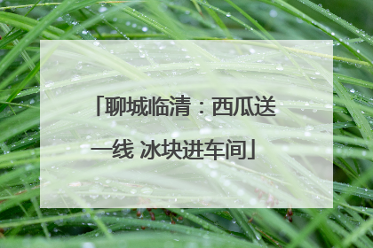 聊城临清：西瓜送一线 冰块进车间