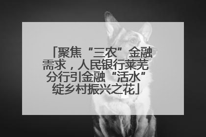 聚焦“三农”金融需求，人民银行莱芜分行引金融“活水”绽乡村振兴之花