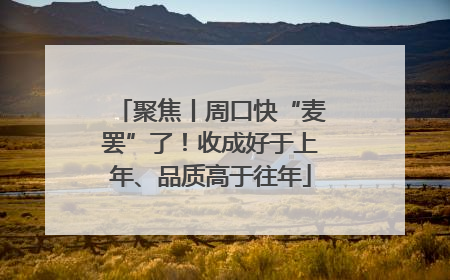 聚焦丨周口快“麦罢”了！收成好于上年、品质高于往年