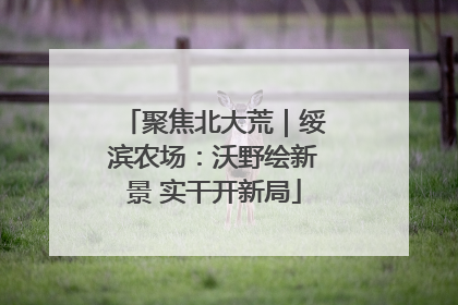 聚焦北大荒｜绥滨农场：沃野绘新景 实干开新局