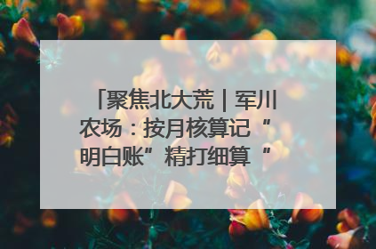 聚焦北大荒｜军川农场：按月核算记“明白账”精打细算“过紧日子”