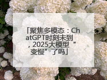 聚焦多模态：ChatGPT时刻未到，2025大模型“变慢”了吗