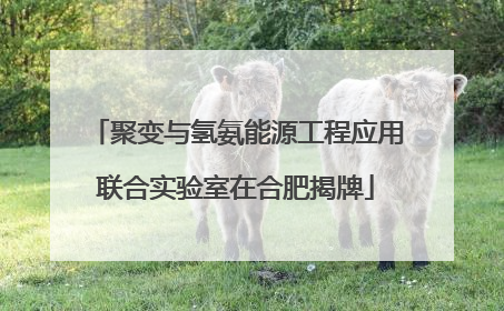 聚变与氢氨能源工程应用联合实验室在合肥揭牌