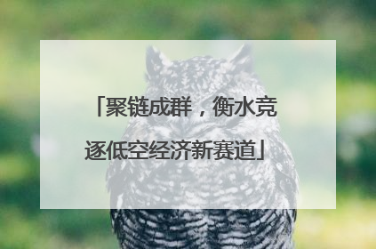 聚链成群，衡水竞逐低空经济新赛道