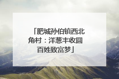 肥城孙伯镇西北角村：洋葱丰收圆百姓致富梦
