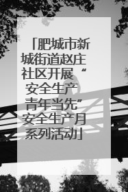 肥城市新城街道赵庄社区开展“安全生产 青年当先”安全生产月系列活动
