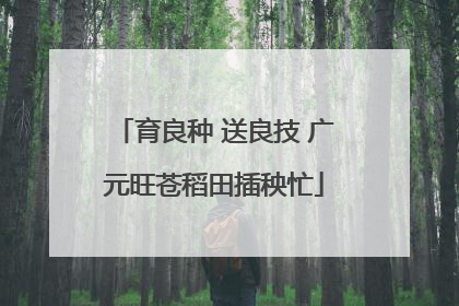 育良种 送良技 广元旺苍稻田插秧忙