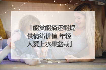 能赏能摘还能提供情绪价值 年轻人爱上水果盆栽
