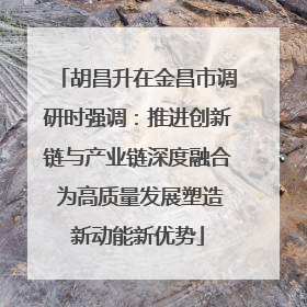 胡昌升在金昌市调研时强调：推进创新链与产业链深度融合 为高质量发展塑造新动能新优势
