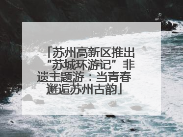 苏州高新区推出“苏城环游记”非遗主题游：当青春邂逅苏州古韵