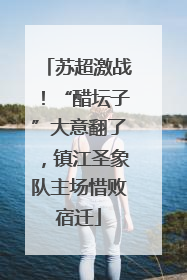 苏超激战！“醋坛子”大意翻了，镇江圣象队主场惜败宿迁