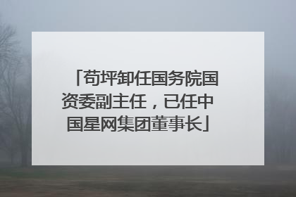 苟坪卸任国务院国资委副主任，已任中国星网集团董事长
