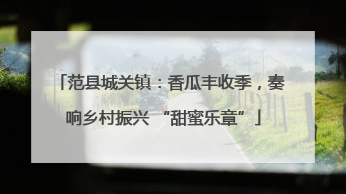 范县城关镇：香瓜丰收季，奏响乡村振兴 “甜蜜乐章”