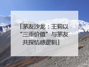 茅友沙龙：王莉以“三重价值”与茅友共探情感逻辑