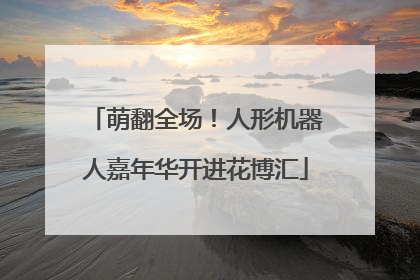 萌翻全场！人形机器人嘉年华开进花博汇