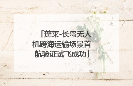 蓬莱-长岛无人机跨海运输场景首航验证试飞成功