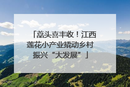 藠头喜丰收！江西莲花小产业撬动乡村振兴“大发展”