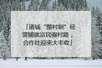 诸城“整村制”经营铺就富民强村路，合作社迎来大丰收